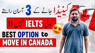 3 Easiest Way to Move in Canada - 100% Approval Ratio - Canada Immigration Programs 2024
