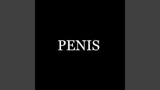 Penis