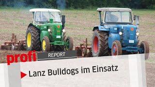 Lanz Bulldogs im Einsatz | profi #Report