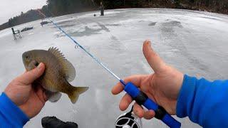 Slaying Bluegills with a 9 Dollar Ice Rod!! (Wisconsin Ice Fishing)