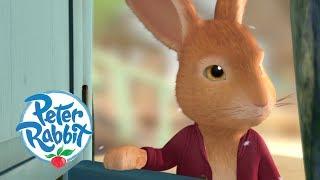 Peter Rabbit - Stuck in the Snow | Cartoons for Kids