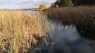 A little walk by the lake