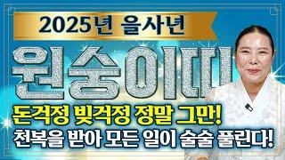 2025년 삼재가 끝나고 돈복 제대로 터지는 원숭이띠운세! 새로운 한해에 천복을 타고 문서 잡을 일이 있다?! 원숭이띠에게 찾아오는 엄청난 변화와 기회는?