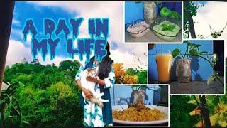 simple lifestyle of Sri Lankan  muslim girl| A Day in my life #cooking #srilanka #kandy #muslimgirl