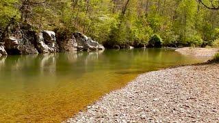 Tennessee CREEK Fishing for GIANT Smallmouth Bass