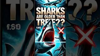 Sharks Are Older Than Trees?!  The Truth Will Shock You!