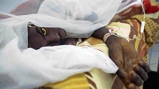 Yellow fever outbreak in DRC and Angola could spread: WHO warns