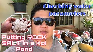 Putting Rock salt in a Koi Pond | water parameters checked 