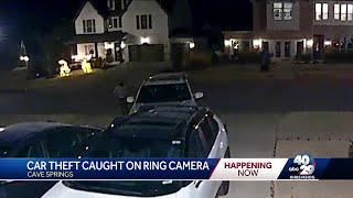 Cave Springs Theft