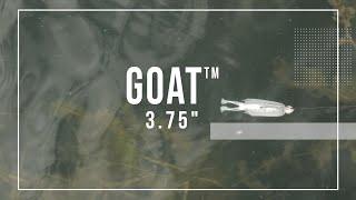 3 Ways to FISH THE GOAT