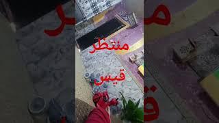 ٢٠ أبريل ٢٠٢٥