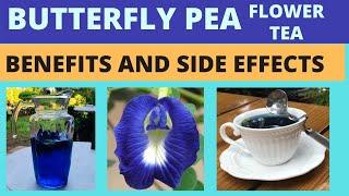 Butterfly Pea Flower Tea | Blue Ternate | Clitoria Ternatea | Benefits and side effects.