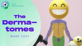 How to Easily Memorize the Dermatomes