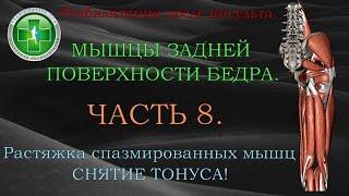 Растяжка спазмированных мышц, снятие тонуса. Часть 8. Мышцы задней поверхности бедра.