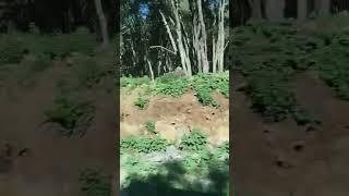 قراءة القرآن بلا وضوء