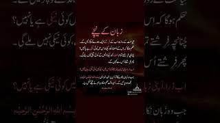 #viral shorts #shorts #islam #daily hadees