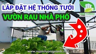 Hệ thống tưới tự động vườn rau trên sân thượng