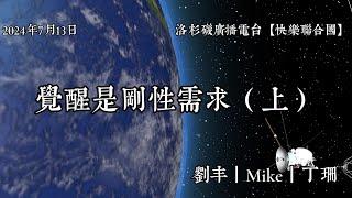 20240713 觉醒是刚性需求 | 丁珊、刘丰、Mike （上）