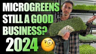 Should You Start A Microgreens Business In 2024? (The Truth)