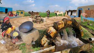 Men Women Village Life in Pakistan | Use of Bull Powered Machines in Punjab