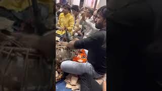 Kandasbapu na bhajan ni yaadi || vipul danidhariya || Ashok Gondaliya tabla