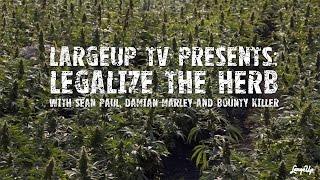 Sean Paul, Damian Marley and Bounty Killer on Legalizing the Herb  | LargeUp TV