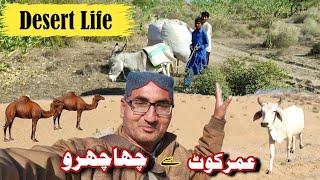 Chachro city | Thar desert | motorcycle trip in desert