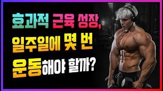 헬스 일주일 횟수 몇번이 최고의 근성장을 만들까? 헬스의 운동 휴식 분할 정석 루틴