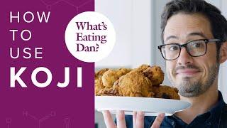 How to Use Koji | What's Eating Dan?