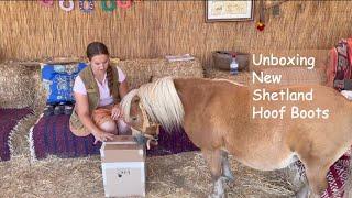 Unboxing New Shetland Hoof Boots- TV EP 401