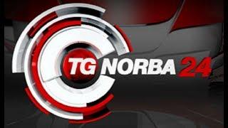 TGNORBA24 H.14:08 - Parte dalla Puglia progetto pesca sicura - (14-11-2013)