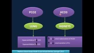 Arterial Blood Gas Analysis (ABG)