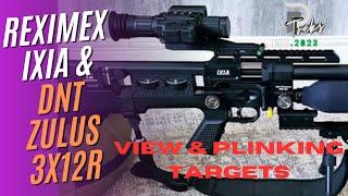 Reximex Ixia & DNT Zulus 3x12R Scope - View & plinking Targets.