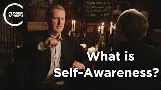 Barry Smith - What is Self-Awareness?