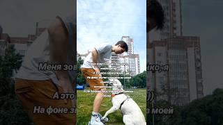 Эта композиция попала в плейлист "Азбука классики" на Яндекс Музыке!!! Спасибо вам за поддержку!