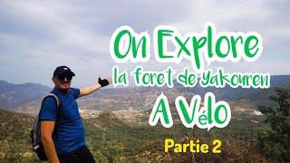 On éxplore la forêt de Yakouren à vélo, partie 2 (on se perd dans la forêt)