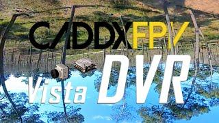 GOPRO LOST  FPV Freestyle Caddx Vista DVR 