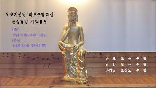 2025.03.10.월. 천일정진 새벽공부 (+1315일) - 금강경독송 / 혜월혜명스님 일화(7)