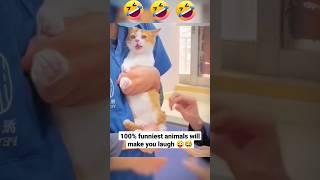 #shorts#100% funniest animals will make you laugh#animals funny reaction on injection #viralshort