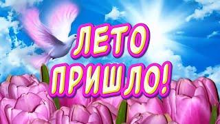 Счастливого лета Красивое поздравление с началом лета #сначаломлета