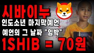 시바이누 예언 최강자 인도소년! 그가 마지막으로 남겨놓은 예언의 그 날 시바이누 70원!! #시바이누 #시바이누코인