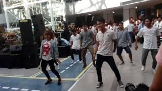 Cartoonz crew fantastic wonderfull live performance al labim mall