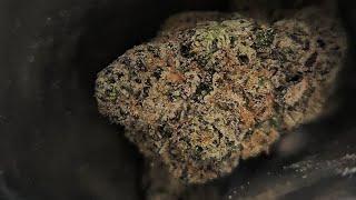 PURPLE PUSH POP by SEED JUNKY Strain Review