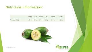 Health Benefits of Feijoa