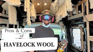 Pros and Cons of Havelock Wool for Van Insulation