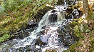 McCormick Wilderness Exploration Day 1 - Endless Waterfalls