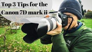 Canon 7D mark ii Focus System | Top 3 tips Focus Efficiency