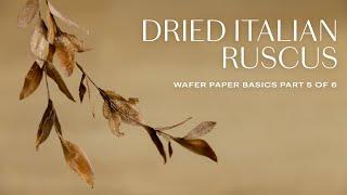 Wafer Paper Flowers Basics for Beginners: Dried Italian Ruscus (Part 5/6)