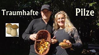 Traumhafte Pfifferlinge und Steinpilze - PILZE SAMMELN