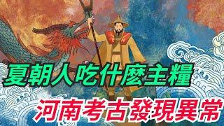 夏朝人吃什麽主糧？河南考古發現異常，難怪大禹會去治水【愛觀歷史】#古代#历史故事 #历史#夏朝#主糧#大禹治水